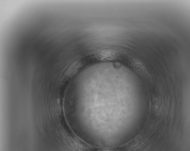 X0000059810506200510281709