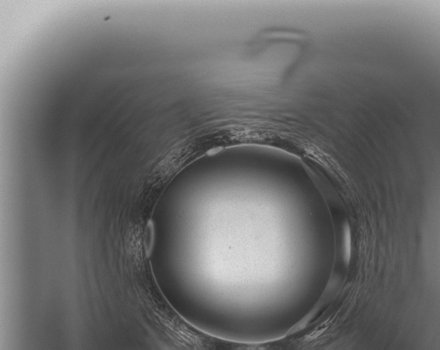 X0000059810513200510281709