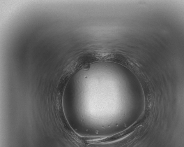 X0000059810515200510281709