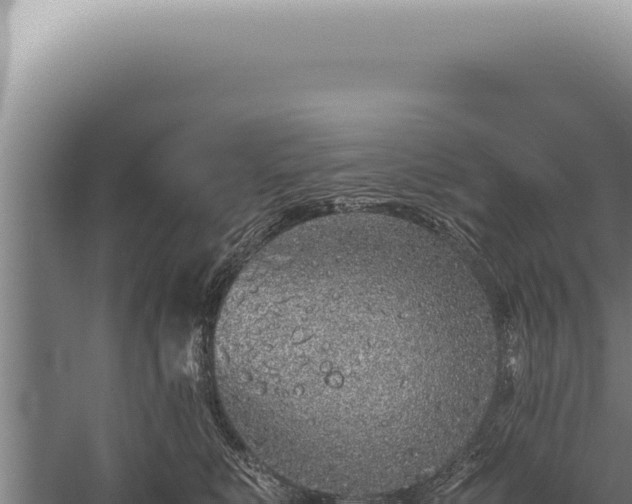 X0000059810519200510281709