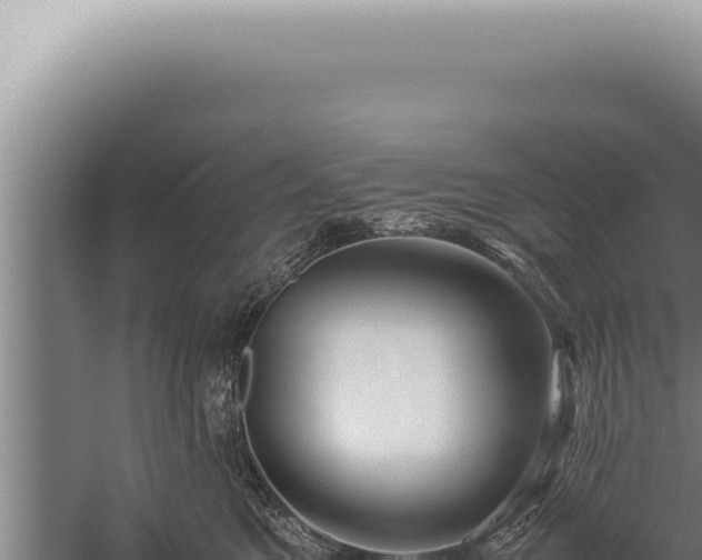 X0000059810521200510281709