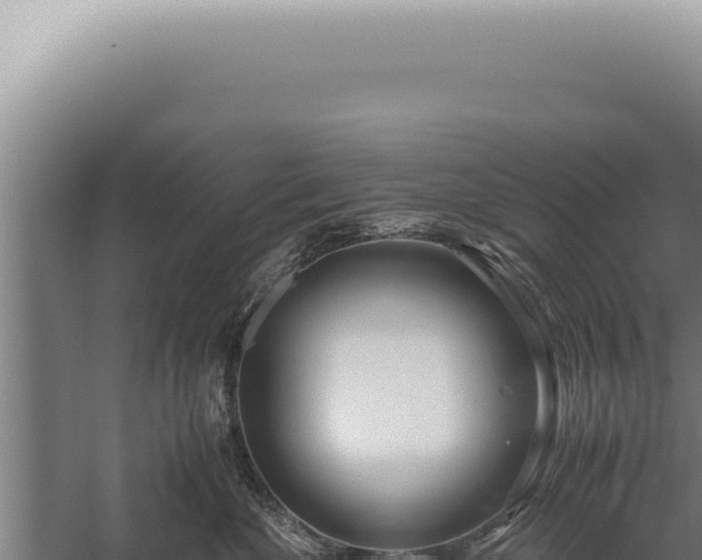 X0000059810524200510281708