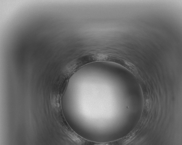 X0000059810525200510281708