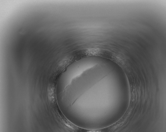 X0000059810526200510281708