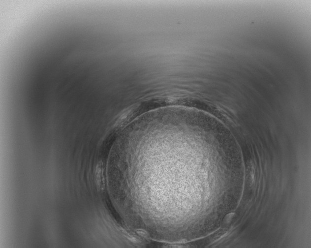 X0000059810527200510281708