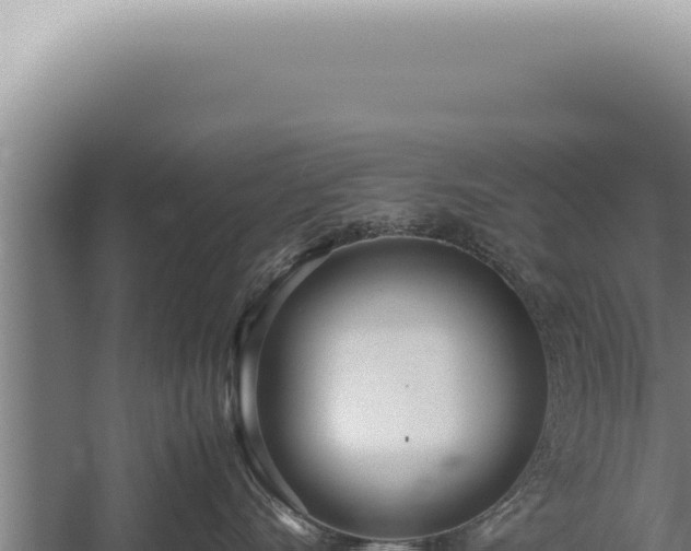 X0000059810528200510281708