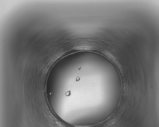 X0000059810529200510281708