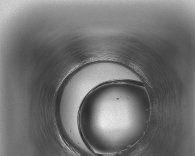 X0000059810534200510281708