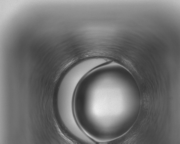 X0000059810538200510281708