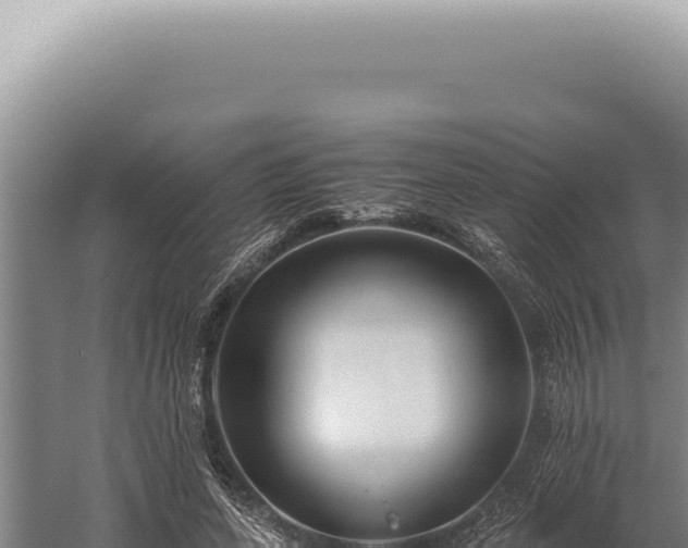 X0000059810543200510281708