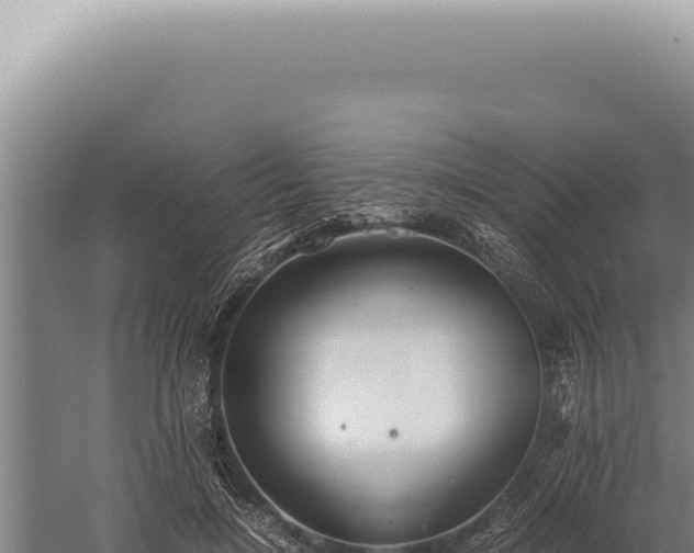 X0000059810548200510281708