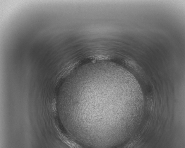 X0000059810549200510281708