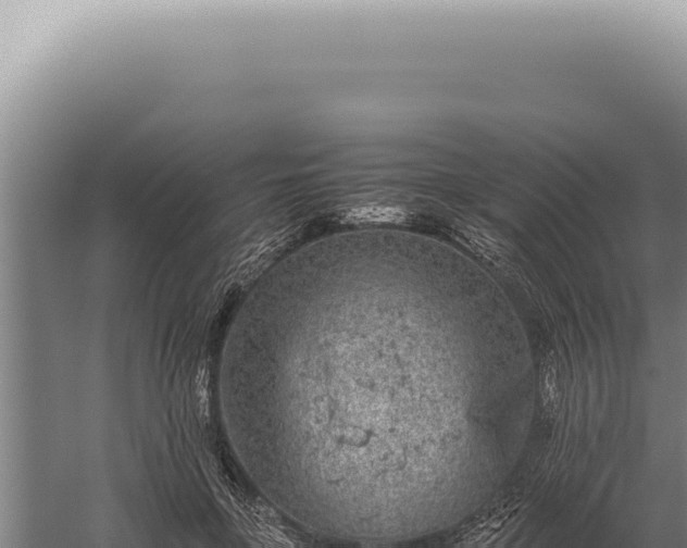 X0000059810551200510281708