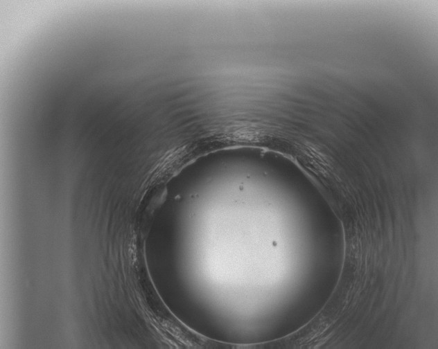 X0000059810552200510281708