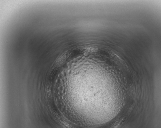 X0000059810553200510281708