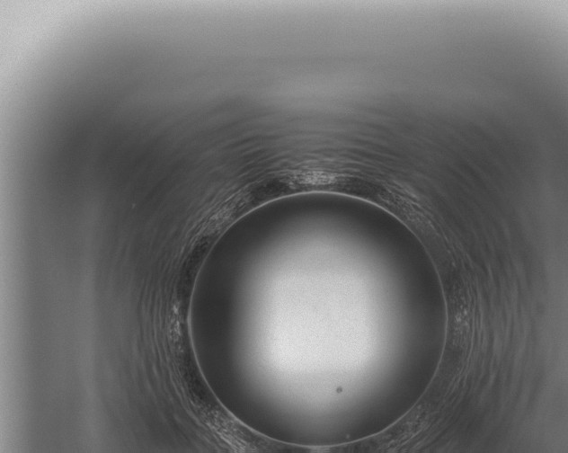 X0000059810555200510281708