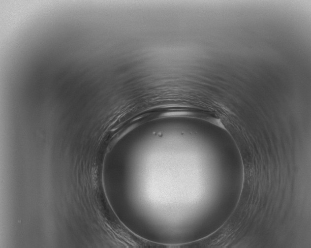 X0000059810556200510281708