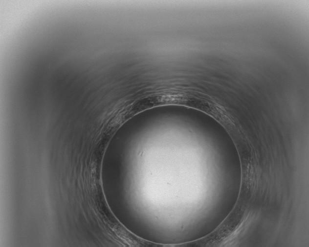 X0000059810557200510281708