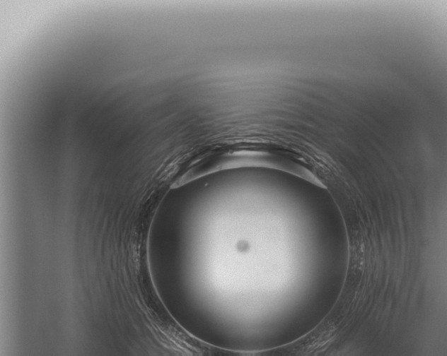 X0000059810558200510281708