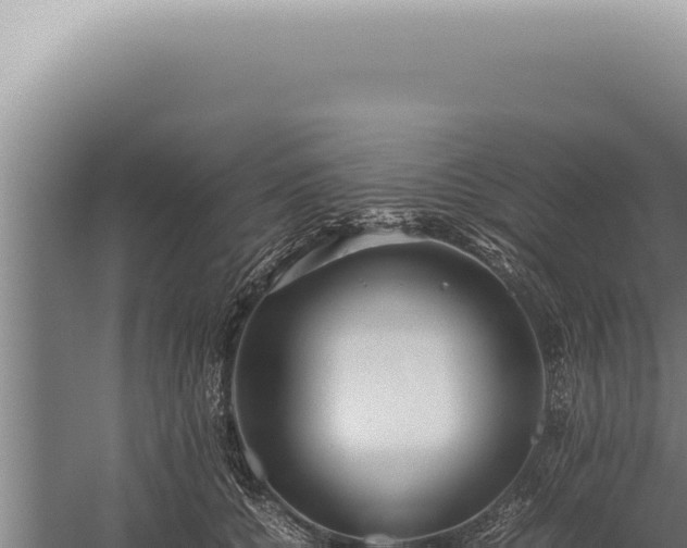 X0000059810560200510281708