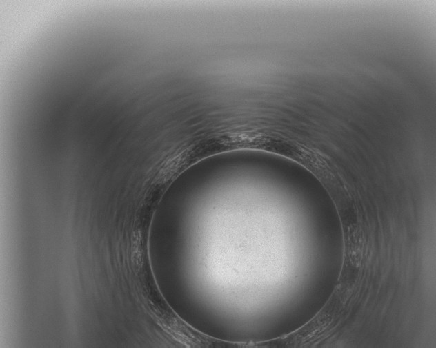 X0000059810563200510281708