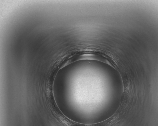 X0000059810566200510281708