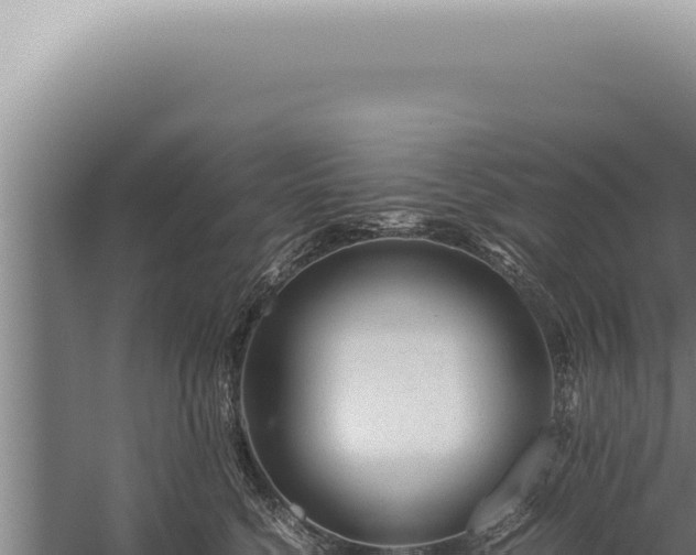 X0000059810568200510281708