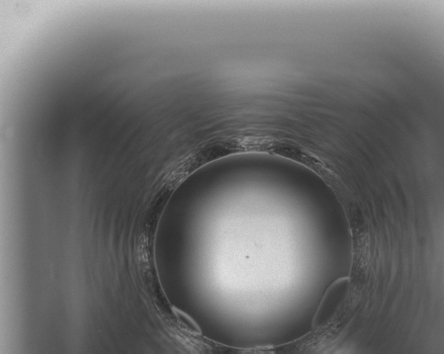 X0000059810571200510281708