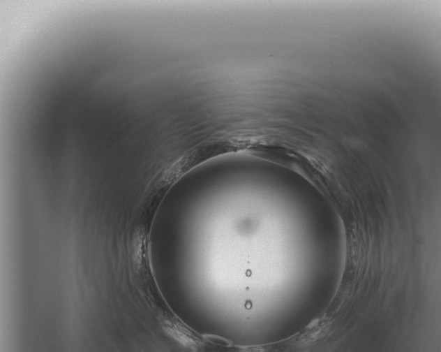 X0000059810574200510281708