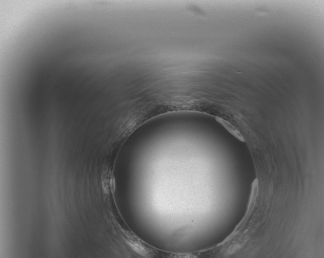 X0000059810576200510281708