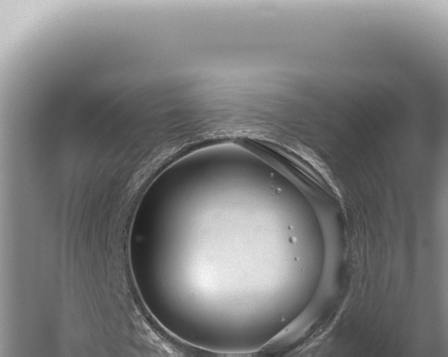 X0000059810577200510281708