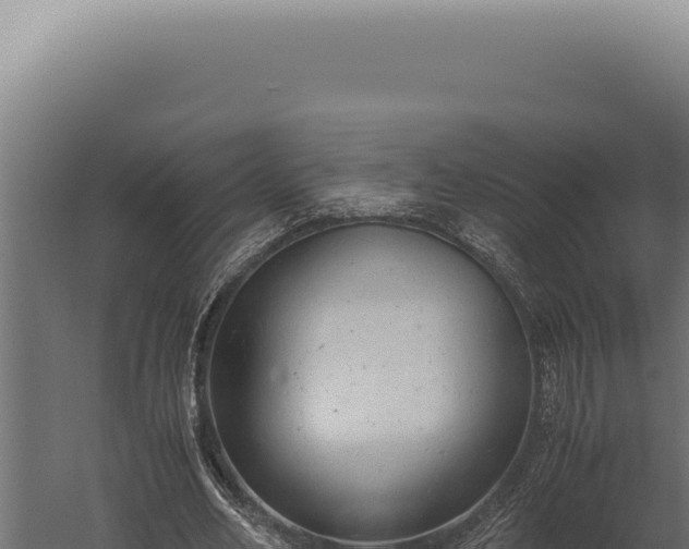 X0000059810582200510281707