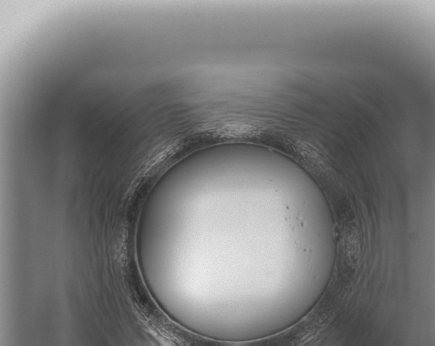 X0000059810591200510281707