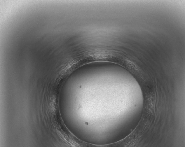 X0000059810596200510281707