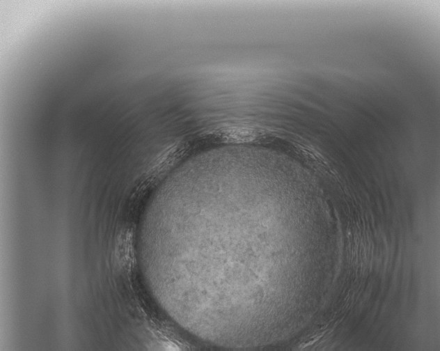 X0000059810598200510281707