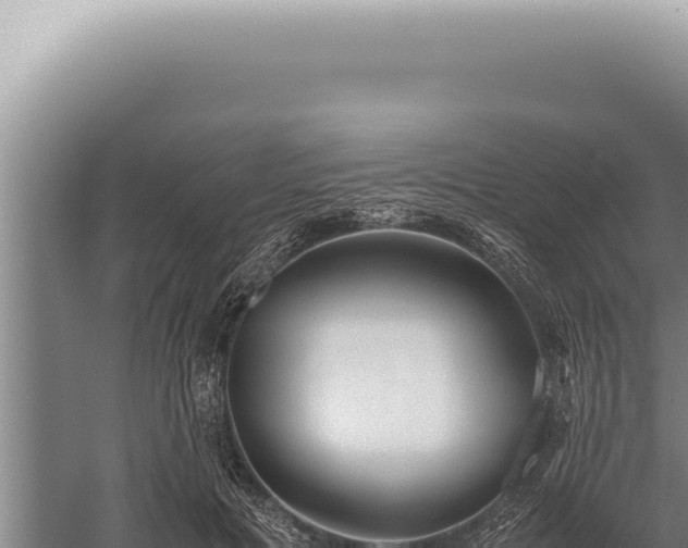 X0000059810601200510281707