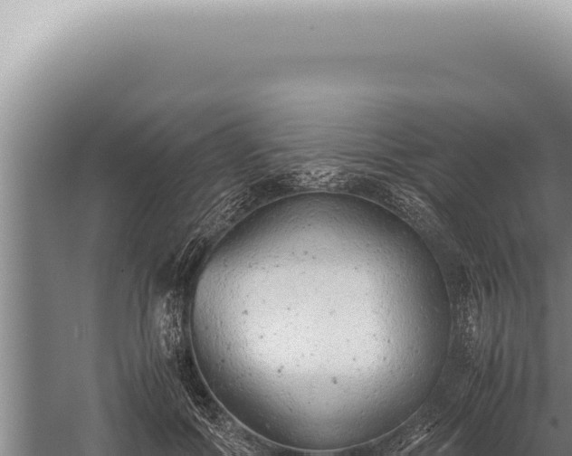 X0000059810602200510281707