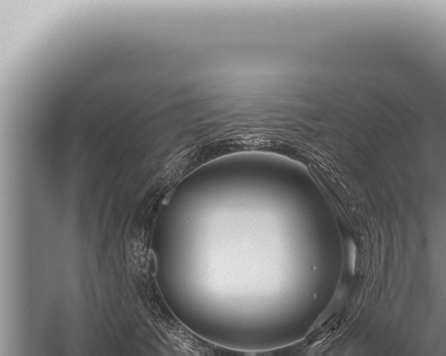 X0000059810609200510281707