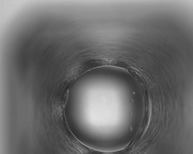 X0000059810613200510281707