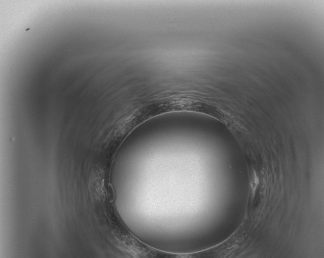 X0000059810615200510281707