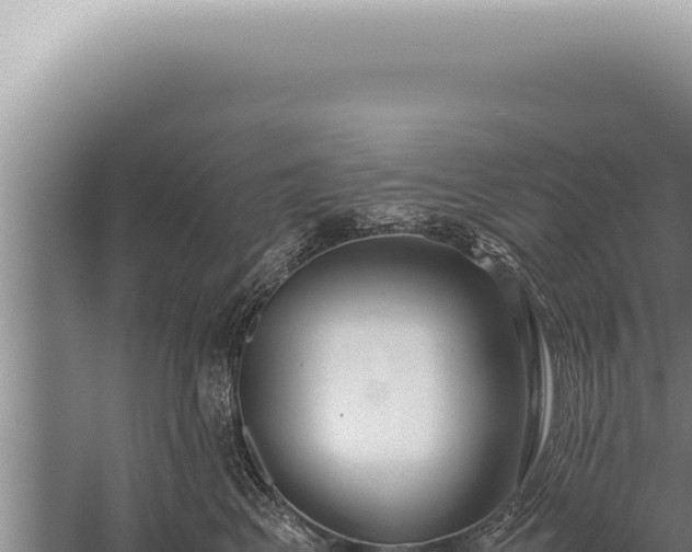 X0000059810617200510281707