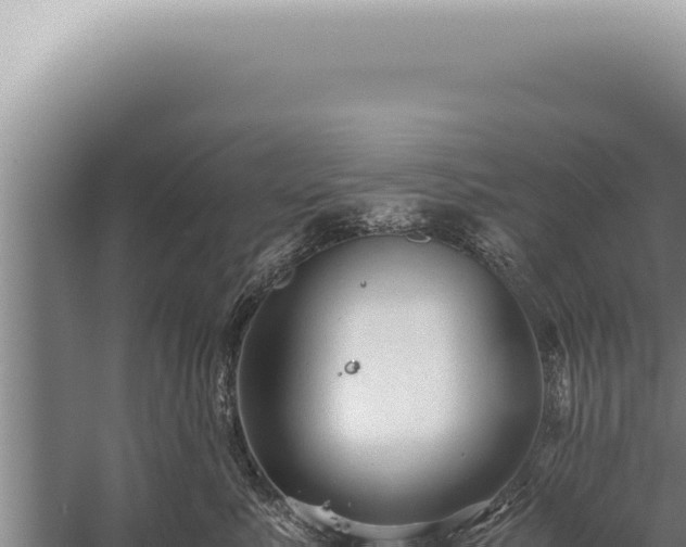 X0000059810619200510281707