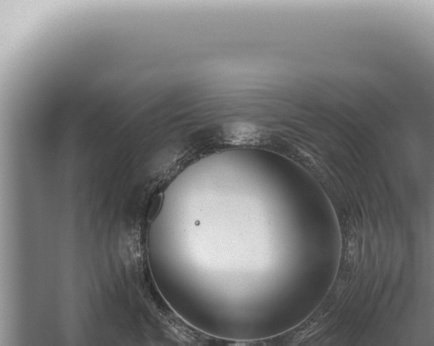 X0000059810620200510281707