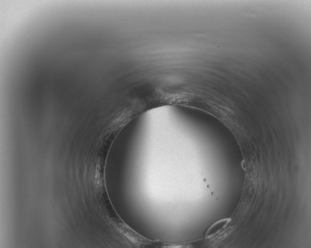 X0000059810622200510281707