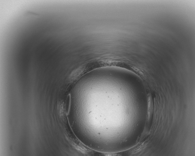 X0000059810623200510281707