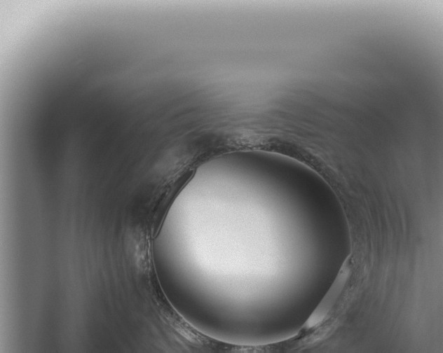 X0000059810624200510281707