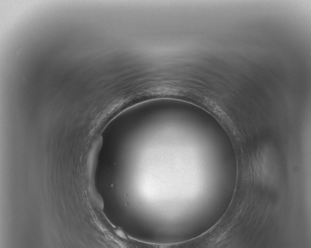 X0000059810625200510281706