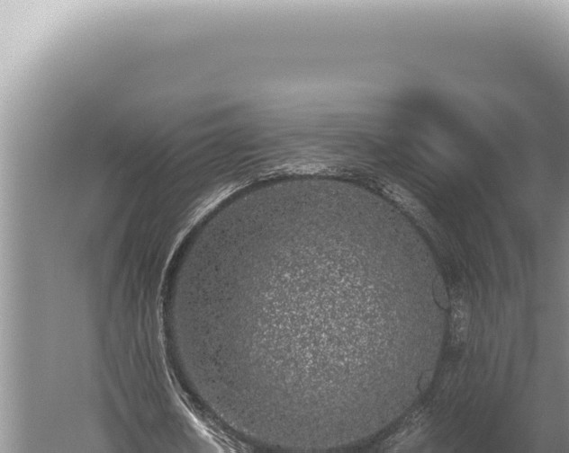 X0000059810626200510281706