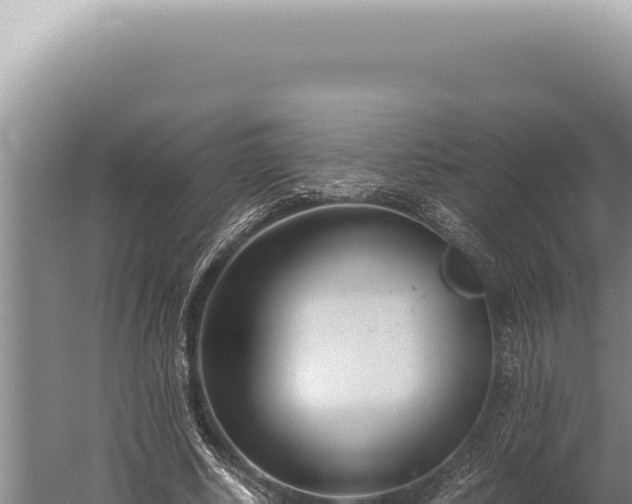 X0000059810634200510281706