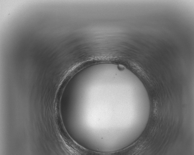 X0000059810636200510281706